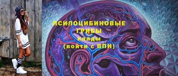 метамфетамин Белокуриха