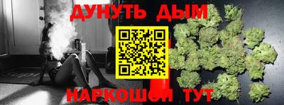 гидра Краснознаменск