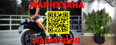 гидра Краснознаменск