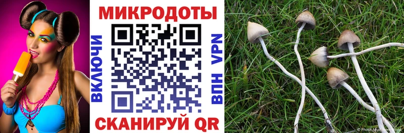 сколько стоит  Кузнецк  Псилоцибиновые грибы мухоморы 