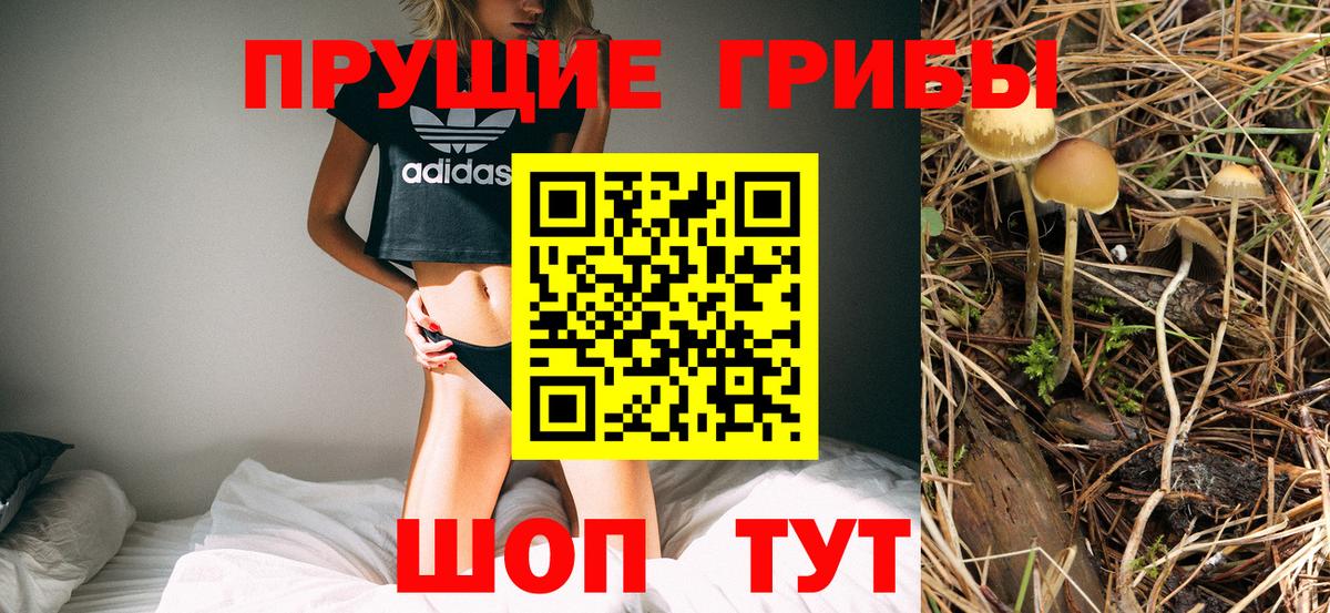 Галлюциногенные грибы MAGIC MUSHROOMS Кузнецк