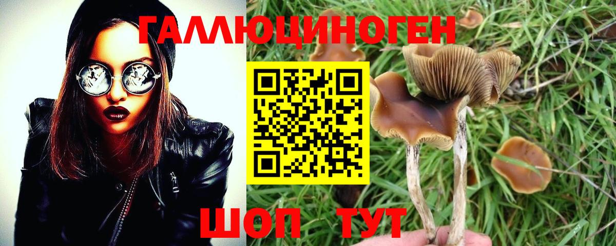 Галлюциногенные грибы Cubensis  Вход с VPN  Кузнецк 